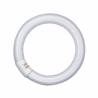 G10q 22W 865 Lumilux T9C fluoreszkáló gyűrű